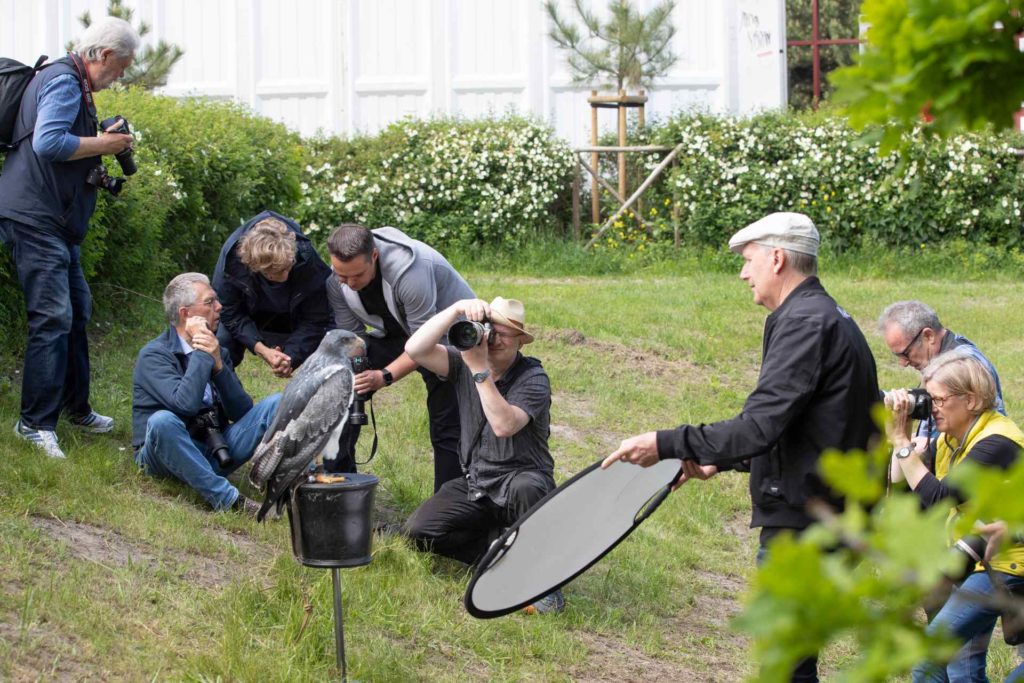 Fotografen beim Umweltfestival Zingst - Die Herrscher der Lüfte